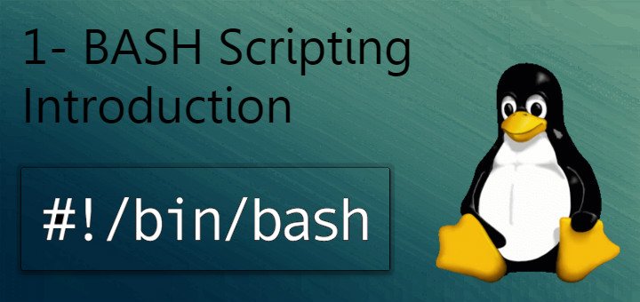 BASH scripting