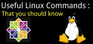 Most useful Linux Commands that you should know - LinuxTechLab