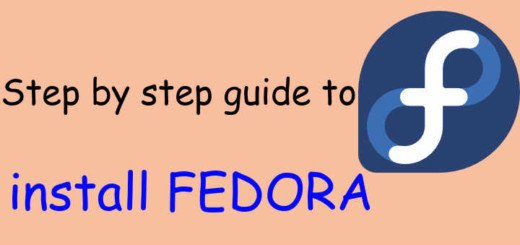 Step By Step Guide To Install Fedora - LinuxTechLab