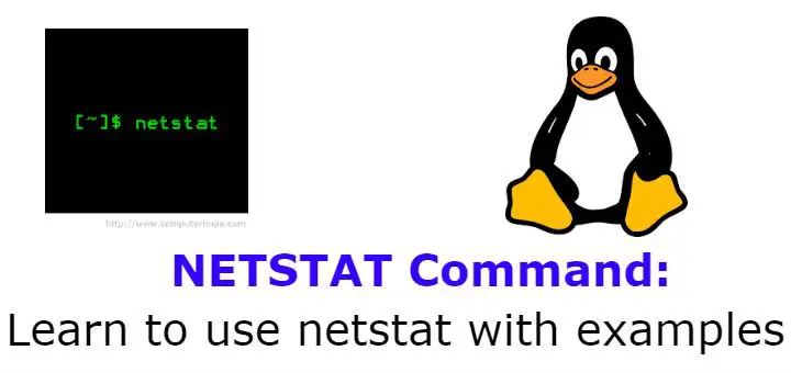netstat with examples