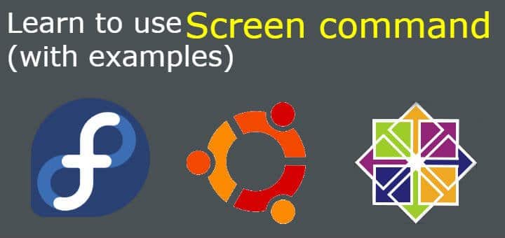 screen command with examples
