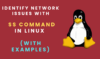 Identify network issues with SS command in Linux (with examples ...