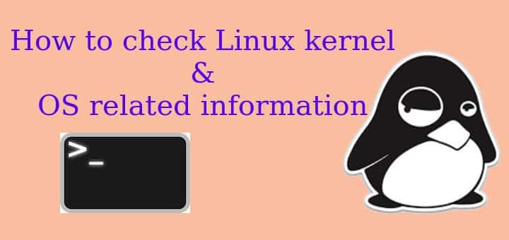 check Linux kernel