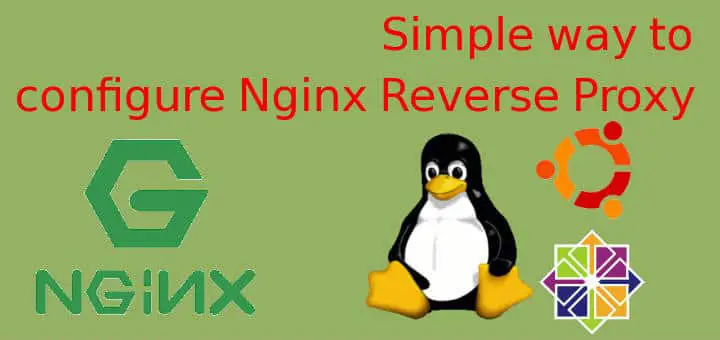how to setup nginx reverse proxy