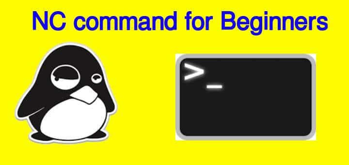 nc command