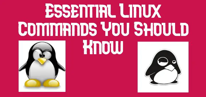 Essential Linux Commands
