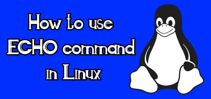 echo command in linux