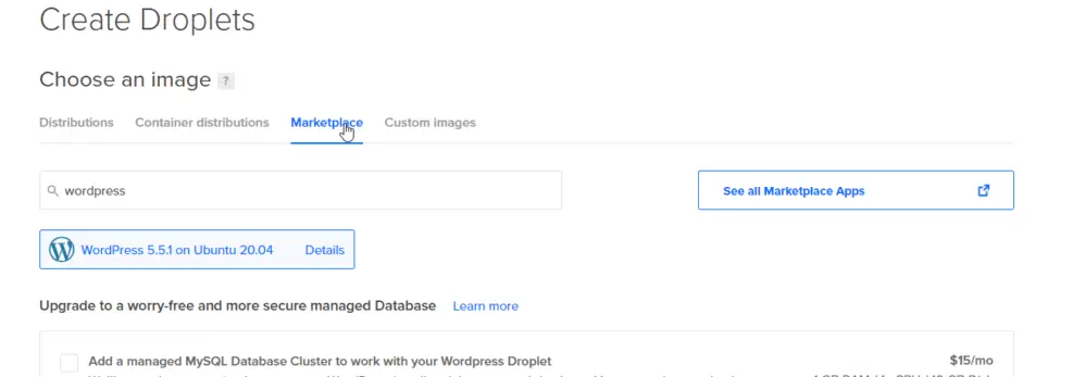 create wordpress website for free