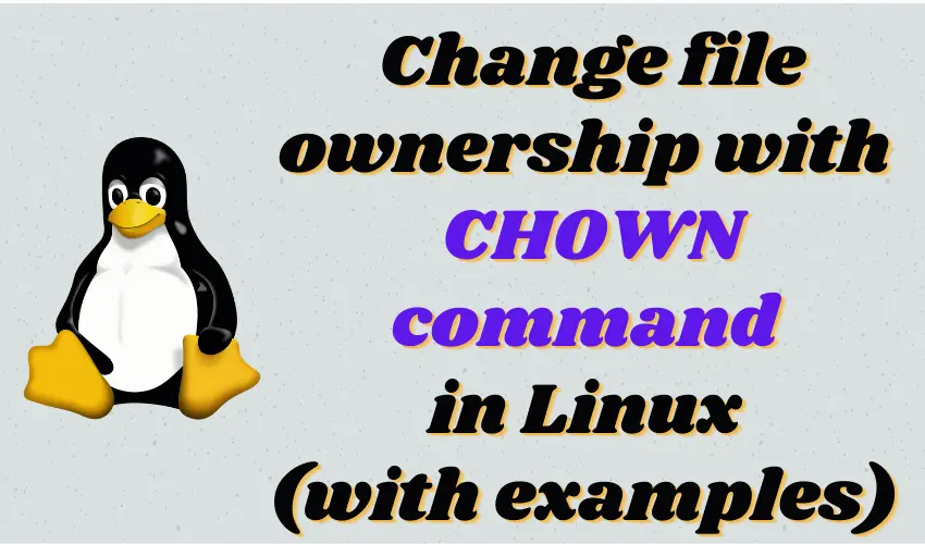 chown command examples