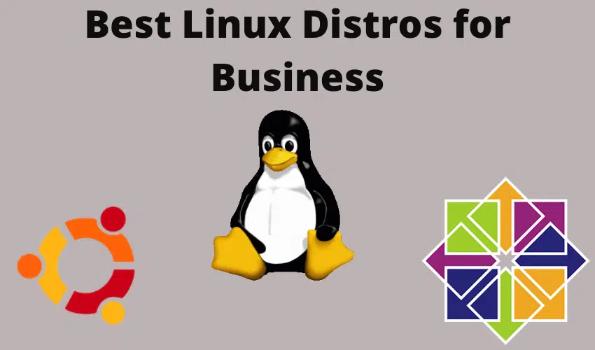 best linux distros for bussiness