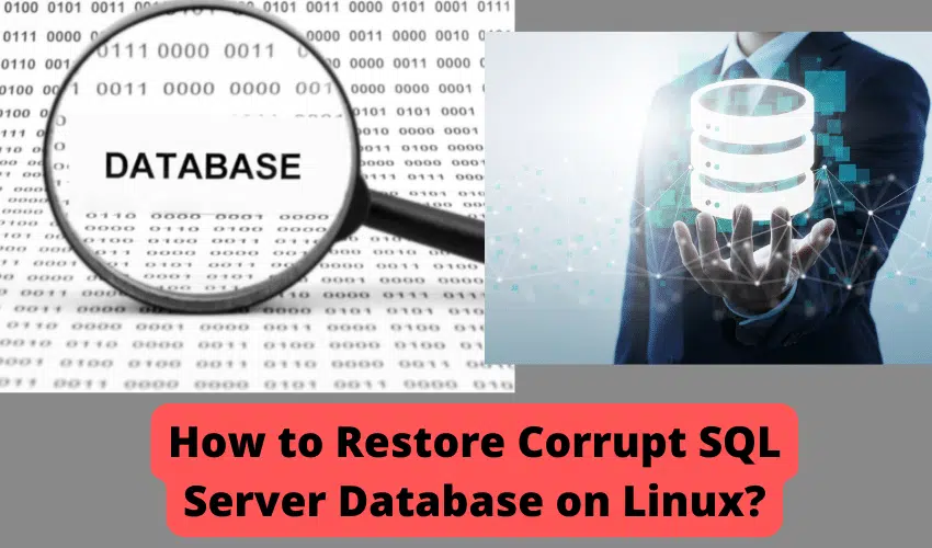 How to Restore Corrupt SQL Server Database on Linux?