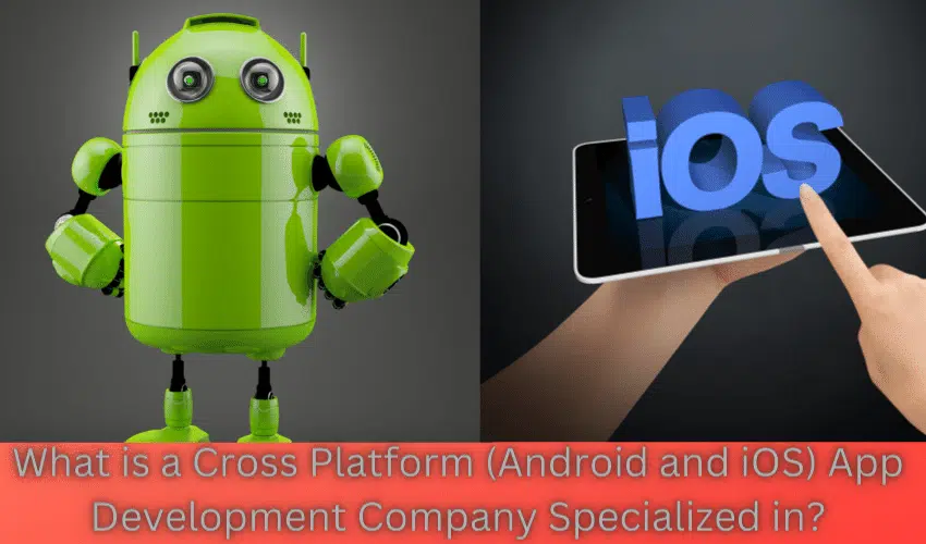 What is a Cross Platform (Android and iOS) App Development Company Specialized in?