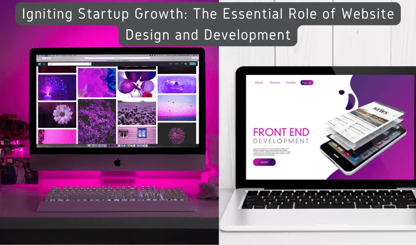Website Design and Development